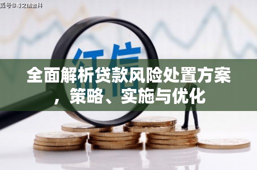 社旗全面解析贷款风险处置方案，策略、实施与优化