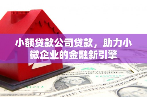 昭平小额贷款公司贷款，助力小微企业的金融新引擎