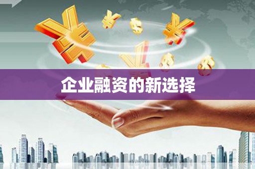 张家界企业融资的新选择