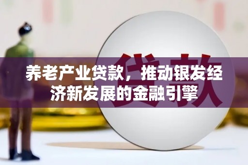 石嘴山养老产业贷款，推动银发经济新发展的金融引擎