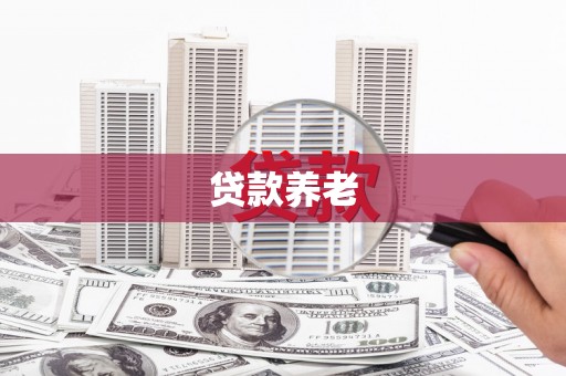 诸暨贷款养老