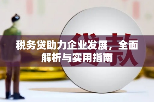 六安税务贷助力企业发展，全面解析与实用指南