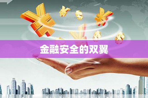 丰顺金融安全的双翼