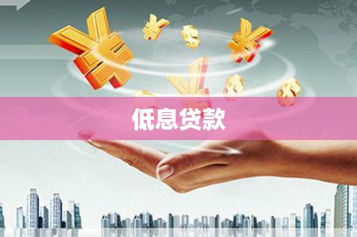 新沂低息贷款