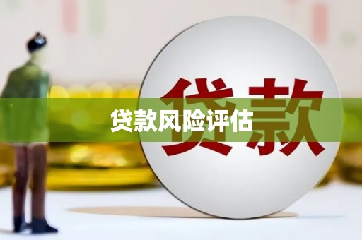日喀则贷款风险评估