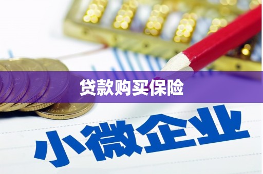 乐都贷款购买保险