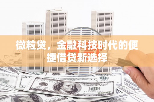 惠来微粒贷，金融科技时代的便捷借贷新选择