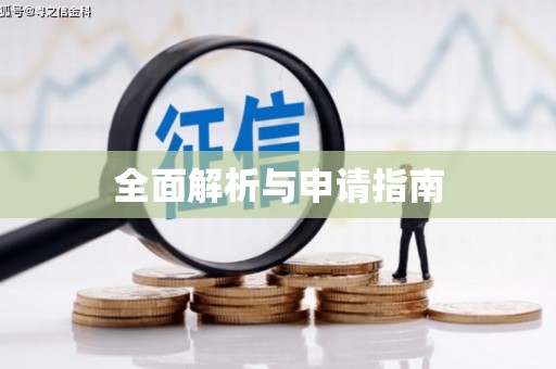 宏伟全面解析与申请指南