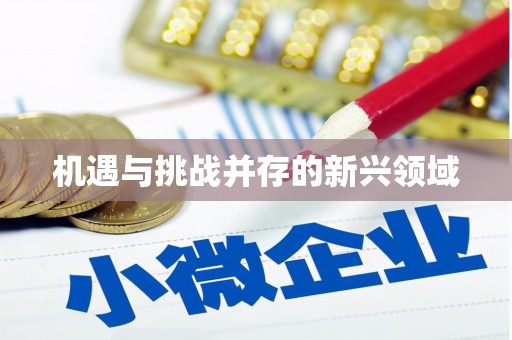 风顺堂区机遇与挑战并存的新兴领域