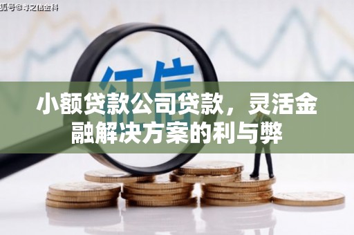 天峨小额贷款公司贷款，灵活金融解决方案的利与弊